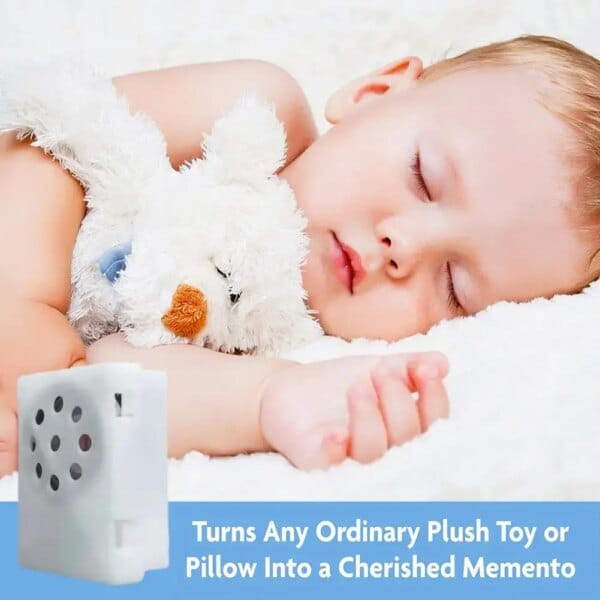 Voice Box For Stuffed Animal Recordable Sound Module Plush Toy Voice Message Recorder Device Recording Device With Clear Vo P8W2