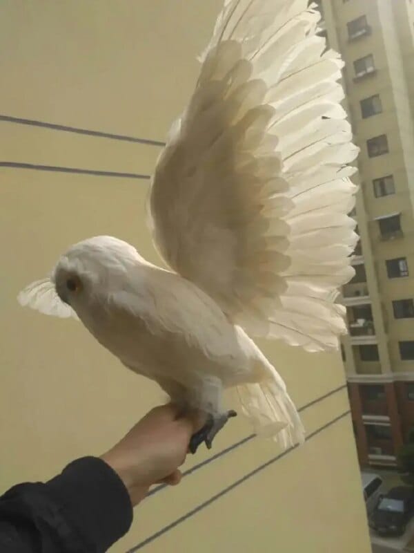 big white simulation owl toy foam&furs wings owl model doll gift about 50x32cm
